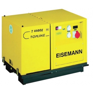 Бензиновый генератор Eisemann T 6600 E